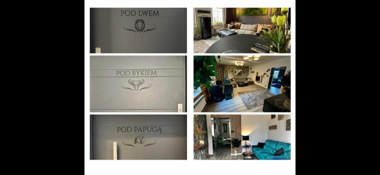 Apartamento Pod Lwem Kościerzyna Exterior foto
